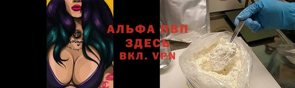 PSILOCYBIN Медвежьегорск