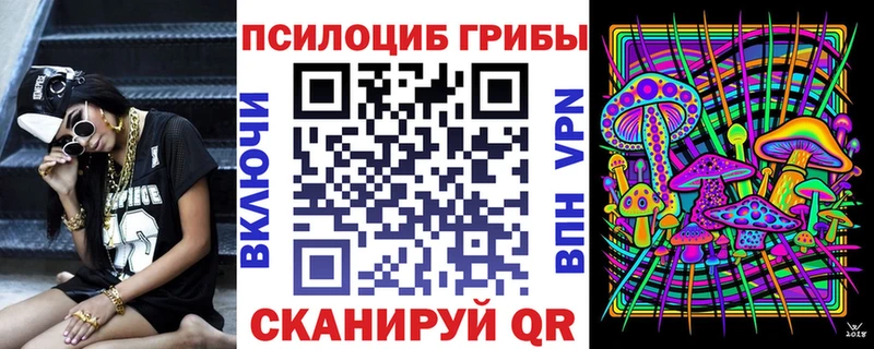 Псилоцибиновые грибы Psilocybe Пикалёво