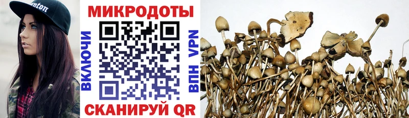 цены наркотик  Пикалёво  мега зеркало  Галлюциногенные грибы ЛСД 